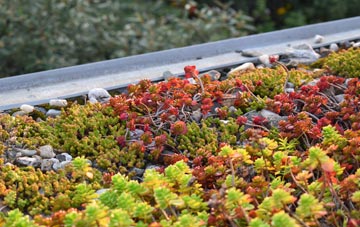 the cost of Kettlehill green roof installation