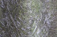 Kettlehill fibreglass roof work